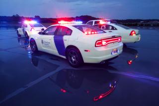 Dodge police cars with Department of Homeland Security logos. Dodge police cars with Department of Homeland Security logos.