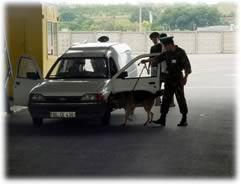 International law enforcement search a car with a drug-sniffing K9. International law enforcement search a car with a drug-sniffing K9.